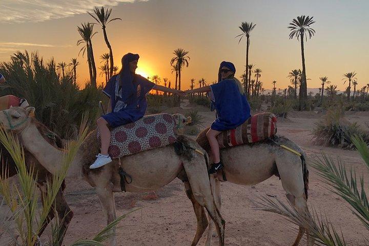 Sunset Camel Ride in the Palm Grove of Marrakech
