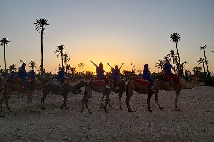Sunset Camel Ride in the Palm Grove of Marrakech
