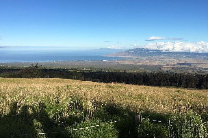Maui Haleakala Sunrise Downhill Bike Tour with Mountain Riders Rated #1