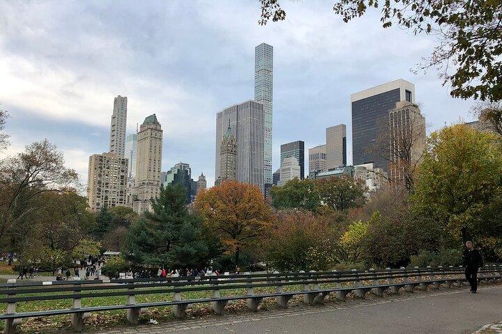 Central Park Guided Pedicab Tours