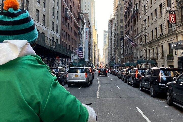 Central Park Guided Pedicab Tours
