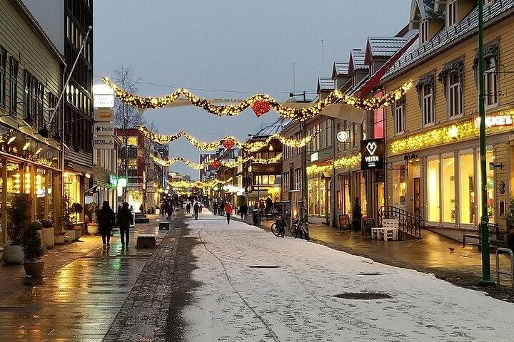 The original Tromsø city walk with Polar Museum