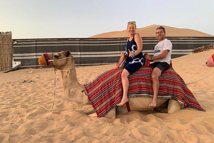 Abu Dhabi Desert Safari with BBQ Dinner & Shows