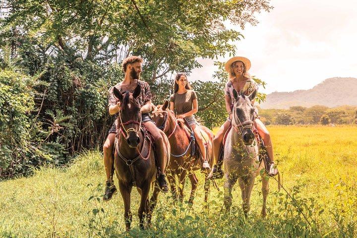 Horseback Riding to Conchal Beach from Tamarindo & Flamingo