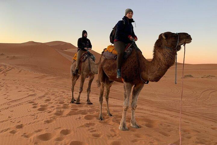 Luxury 2-Days Desert Trip from Fes to.:( fes or marakech)