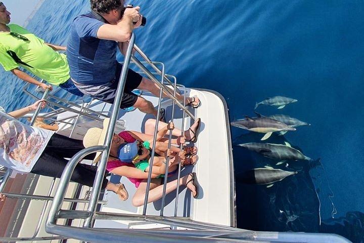 From Lagos: Family way - Dolphin Watching Cruise on a Catamaran