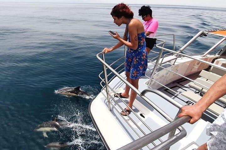 From Lagos: Family way - Dolphin Watching Cruise on a Catamaran