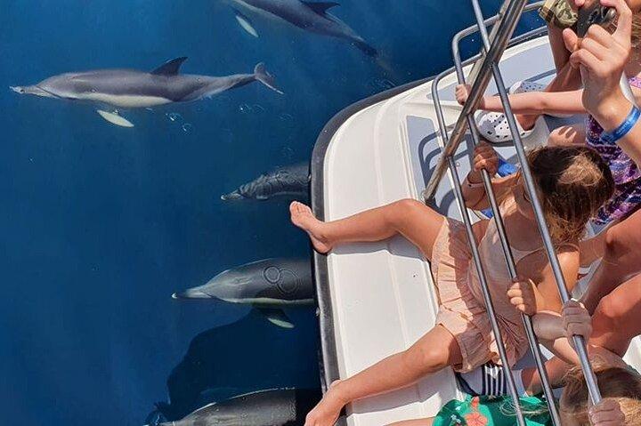 From Lagos: Family way - Dolphin Watching Cruise on a Catamaran