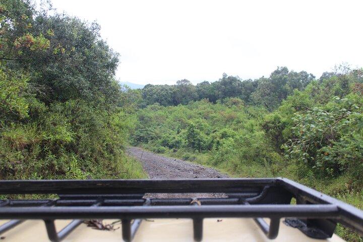Tour at Arusha National Park