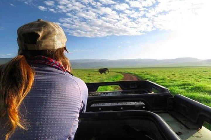 Ngorongoro Crater Day Tour