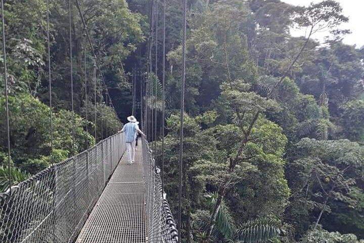 Private Hanging Bridges + Waterfall Tour + Costarrican Lunch