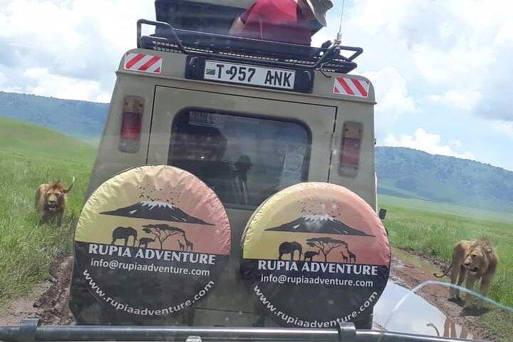 Ngorongoro Crater Day Trip