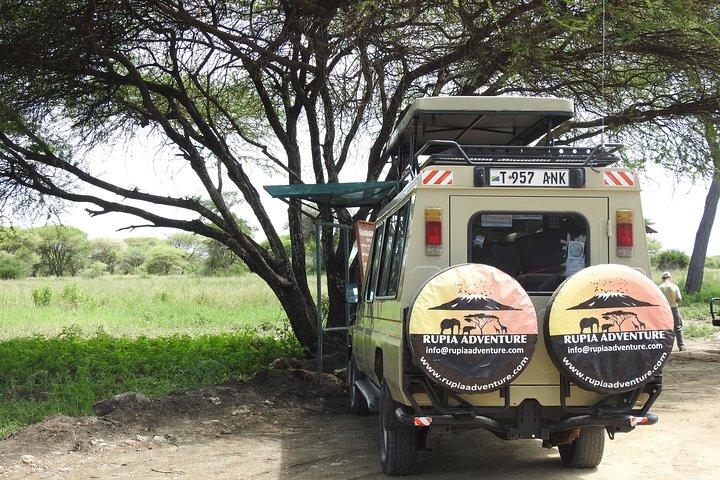 Night Game Tour In Lake Manyara National Park