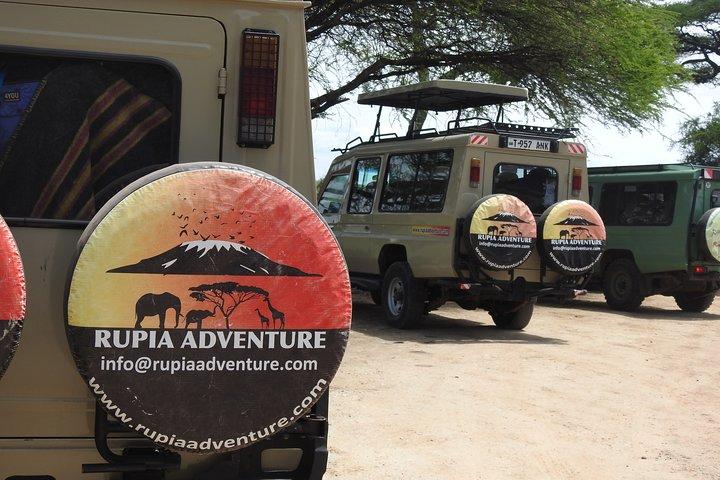Night Game Tour In Lake Manyara National Park