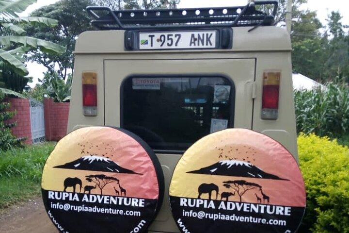 Lake Manyara National Park Day Trip