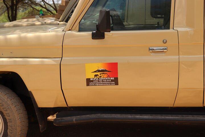 Lake Manyara National Park Day Trip