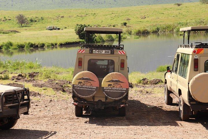 2 Days Tanzania Safaris - Tarangire & Ngorongoro Crater