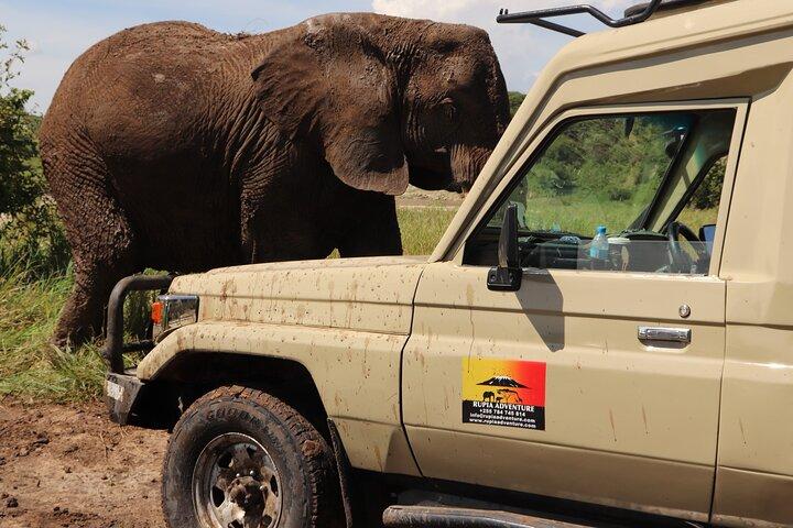 3 Days Tanzania Safari - Manyara, Ngorongoro & Tarangire