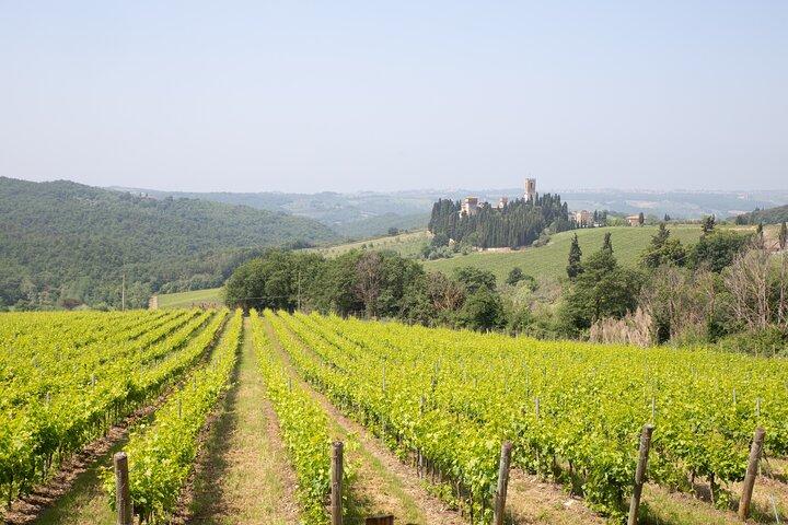 Chianti Wine Tastings Day Trip at Sunset from Florence