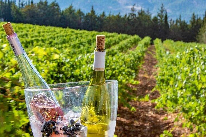 Private Bekaa Wine Tour | Saint Thomas, Kefraya & Ksara · Beirut