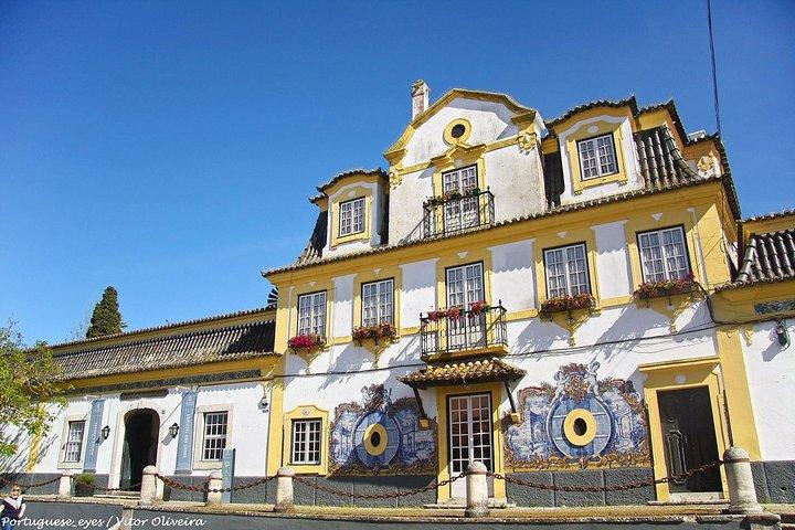 Private Transfer: Lisbon Airport Sesimbra and Setubal