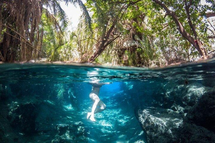 Kikuletwa Hotspring Day Tour