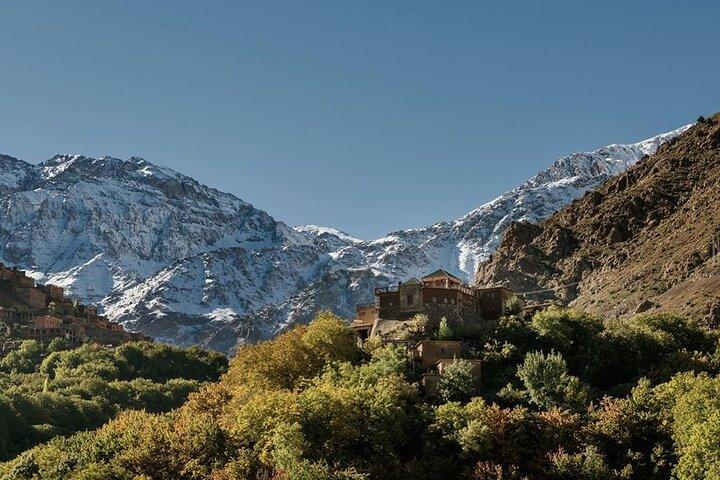 Day Trip from Marrakech to the Atlas Mountains