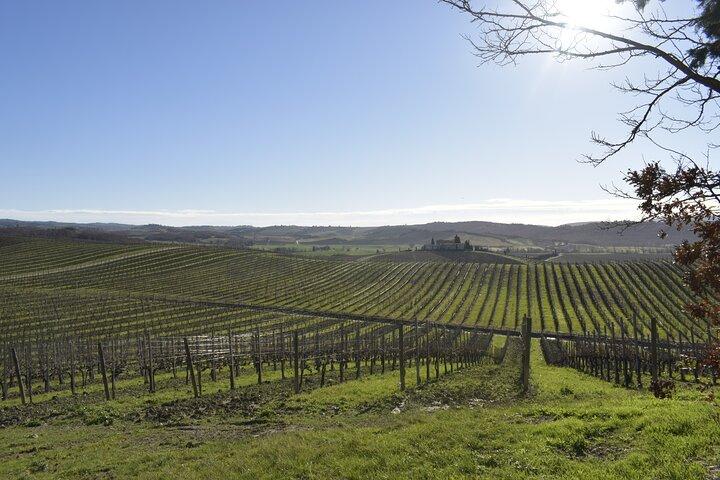 Small Group E-Bike Chianti Tour with farm lunch from Siena
