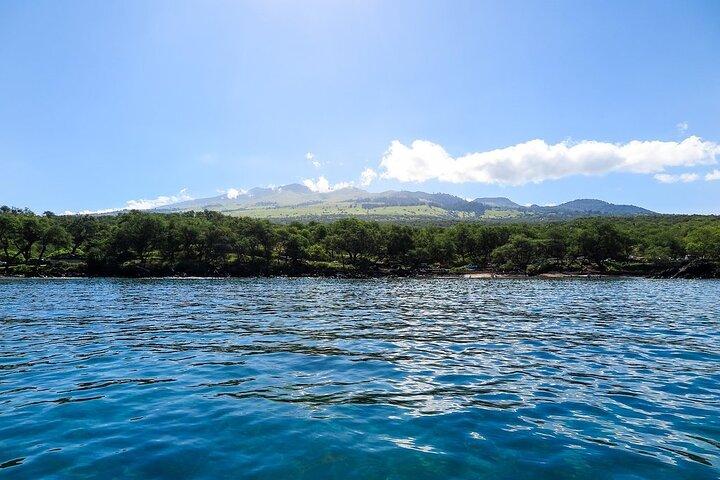 Private Beginner Paddleboard Lesson with Snorkel in Turtle Town