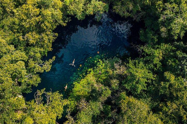 4-in-1 Cenote Tour Guided Experience with Breakfast, Lunch & Wine