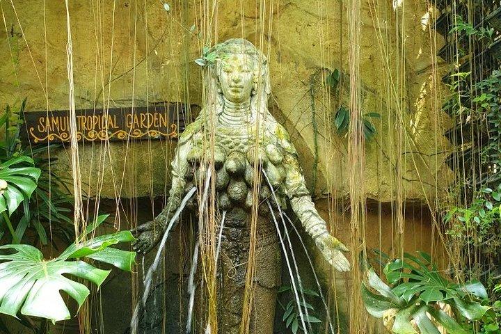 Eco Jungle Safari Tour around Koh Samui Including Lunch