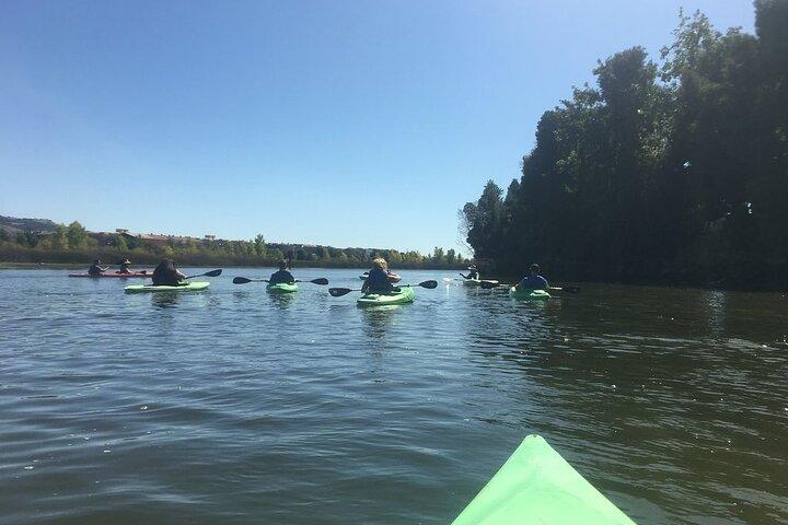 Napa Valley River History Kayak Tour: Single Kayaks