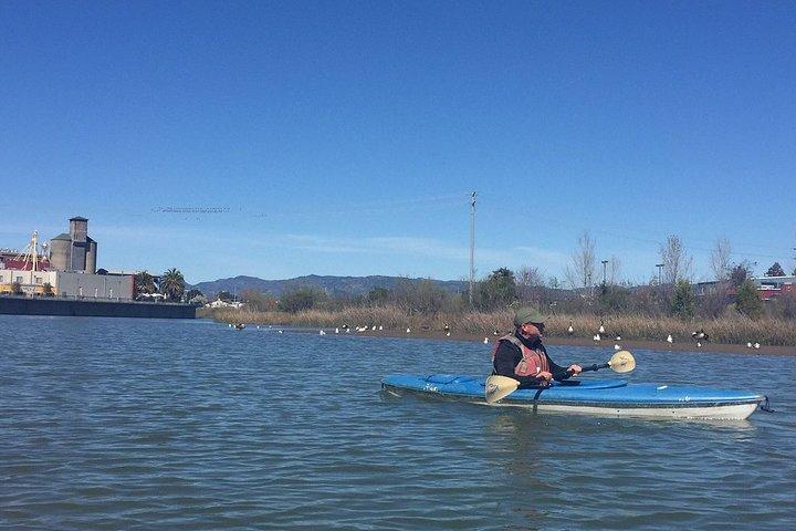 Napa Valley River History Kayak Tour: Single Kayaks