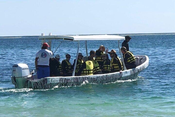 Small-Group Mesoamerican Barrier Reef Snorkeling in Puerto Morelos