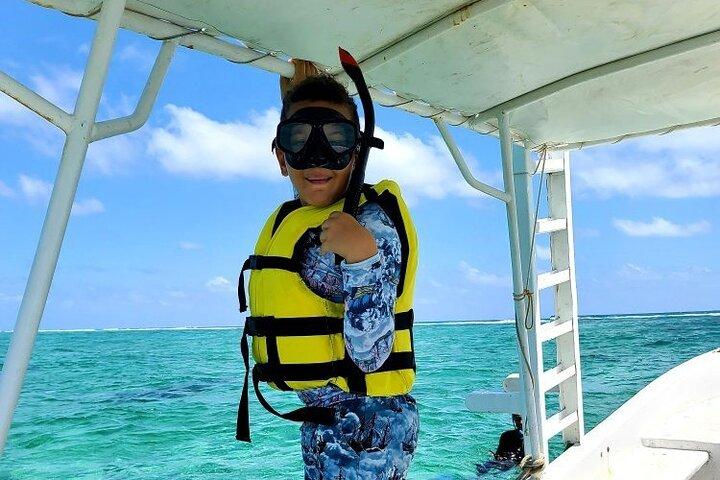 Small-Group Mesoamerican Barrier Reef Snorkeling in Puerto Morelos