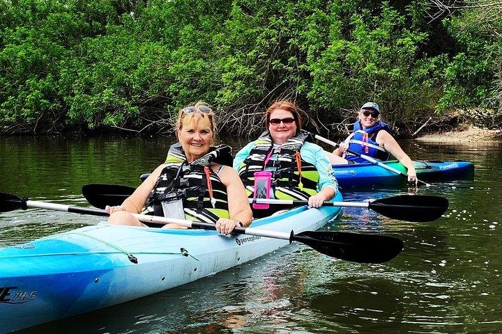 Manatee and Dolphin Kayak Tour - Wildlife Refuge (Titusville)