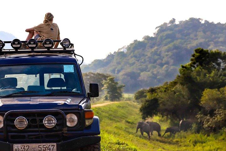 Wildlife Tour Covering Birds and Mammals (7 Days)