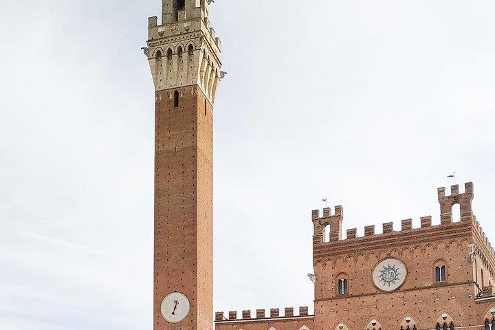 Private Minivan Tour to Siena and San Gimignano from Florence