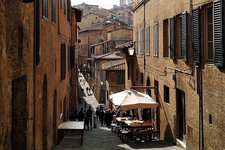 Private Minivan Tour to Siena and San Gimignano from Florence