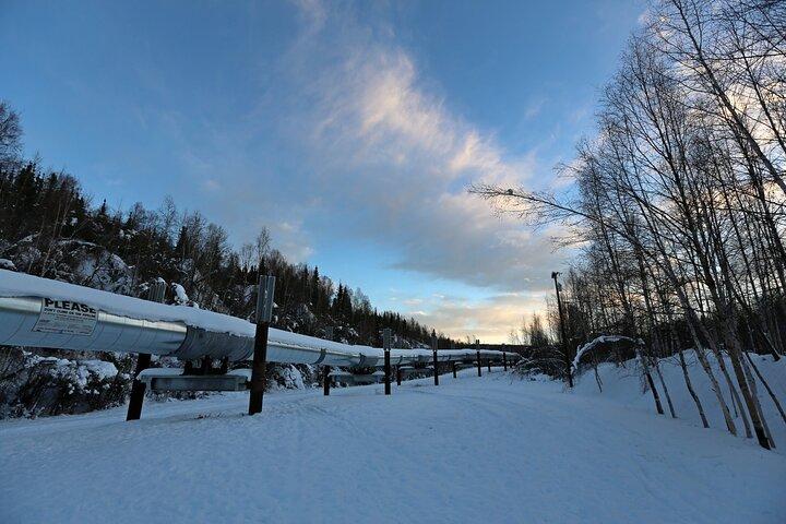Fairbanks Autumn/Winter City Tour