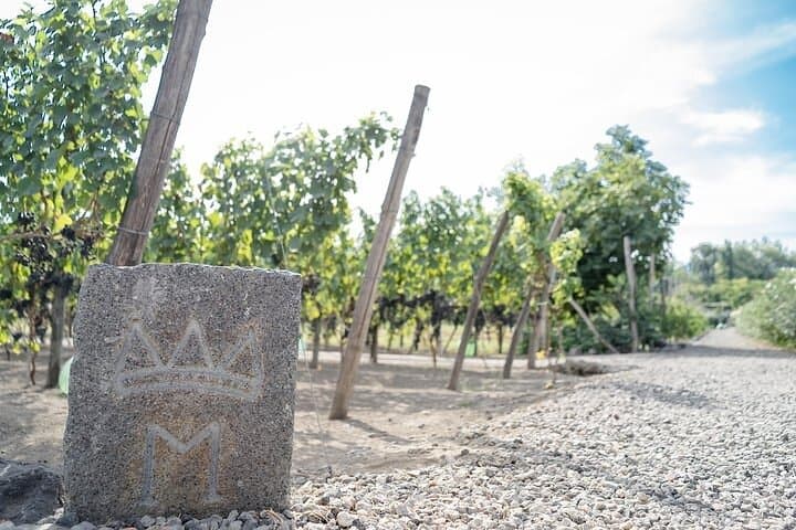 Mt Vesuvius with Winery Visit