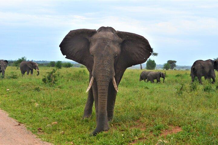 8 Day Witness Nature’s Greatest Show
