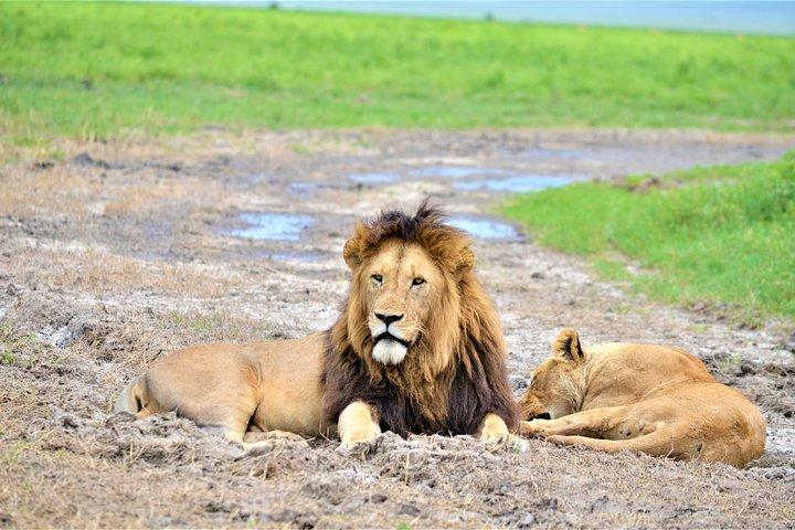 8 Day Witness Nature’s Greatest Show