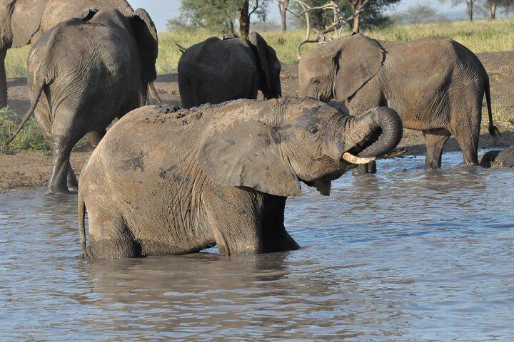 8 Day Witness Nature’s Greatest Show