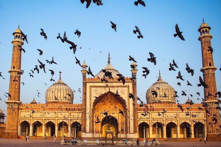 Explore Qutub Minar & Mehrauli Archaelogical Park with a Local Storyteller