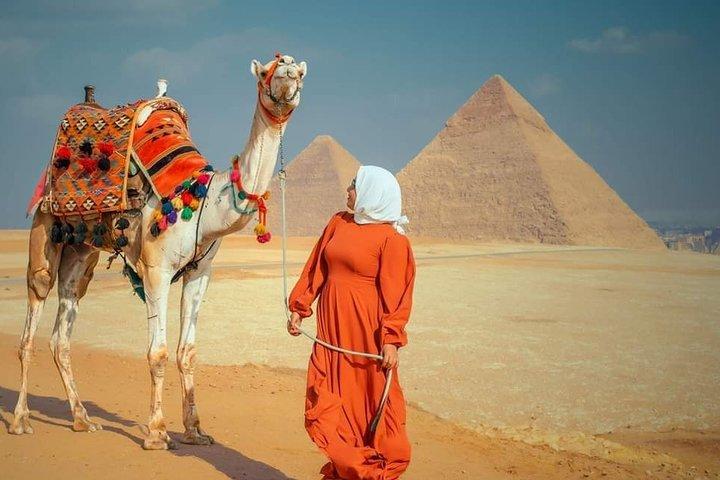Sunrise or Sunset Horse carriage Ride at Pyramids Desert