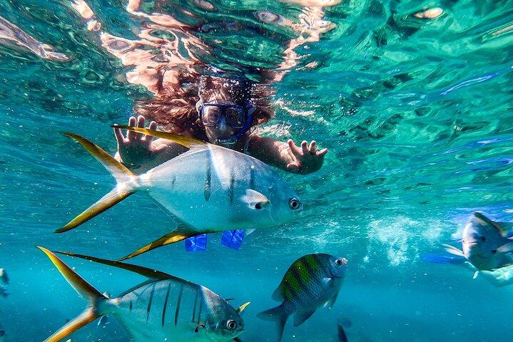 Arch Views & Snorkeling Paradise at Chileno Beach Private tour