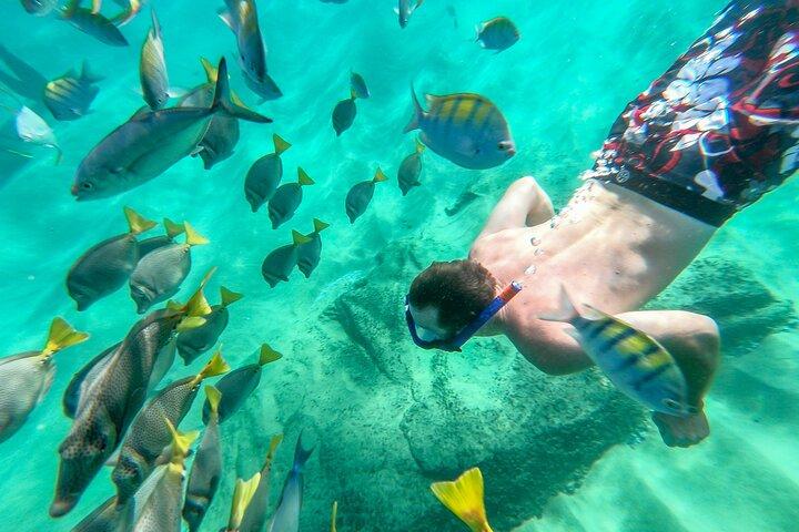 Arch Views & Snorkeling Paradise at Chileno Beach Private tour