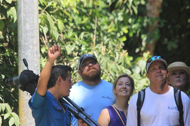 Manuel Antonio National Park guided tour