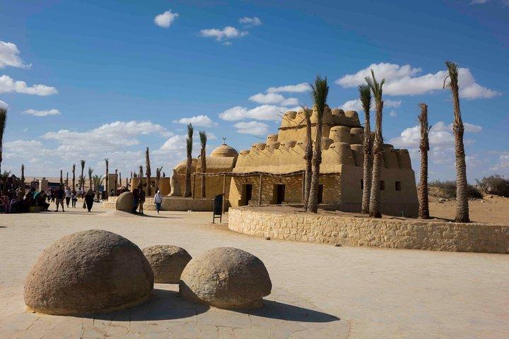 Private Fayoum, Wadi El Hitan & Wadi El Rayan Safari from Cairo